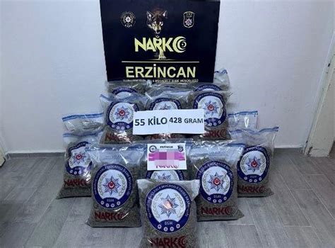 Erzincan’da 55 kilo uyuşturucu skunk ele geçirildi