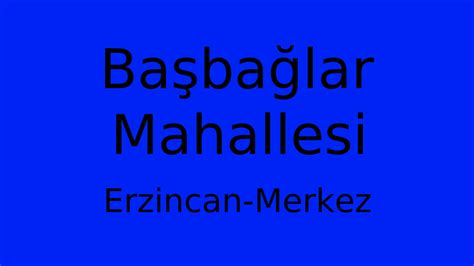 Erzincan Merkez Basbaglar Mahallesi terapi halı yıkama