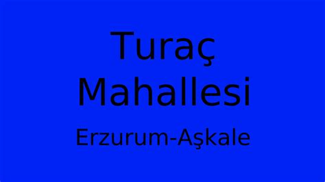 Erzurum Askale Turac Mahallesi terapi halı yıkama