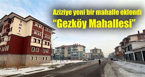 Erzurum Aziziye Cavusoglu Mahallesi terapi halı yıkama