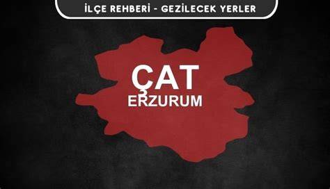 Erzurum Cat terapi halı yıkama