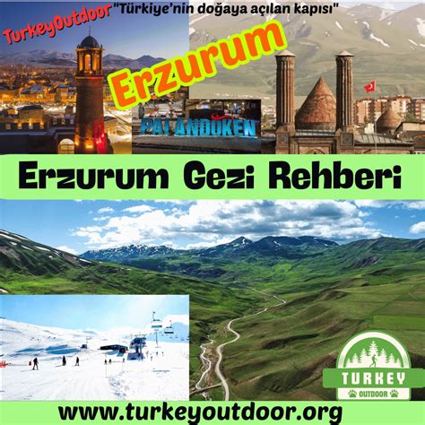 Erzurum En Yakin terapi halı yıkama