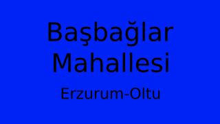 Erzurum Oltu Basbaglar Mahallesi terapi halı yıkama