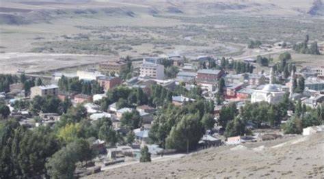 Erzurum Tekman terapi halı yıkama