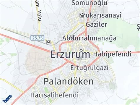 Erzurum havaalanı yol tarifi