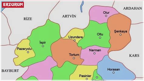 Erzurum nüfusu
