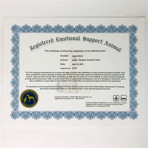 Esa certification. For example, there’s no state or federal certification needed for an ESA, nor is there a registry disabled people need to sign up for when getting an assistance animal. The only thing you need is an official ESA letter issued by a state-certified mental health professional; anything else is superfluous. 