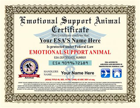 Esa certified. The Emotional Support Animal ID Package Includes an Official PVC ID Card and a Paper Certificate (Sent By Post) - USD $49.99 USD $ 99.99/year. 24-hour Expedited Digital Access - USD $7.99 USD $ 19.99. Emotional Support Animal ID Tag + Bandana - USD $ 25.99 USD $ 39.99. Attorney Letter - USD $179 USD $ 199.99. 