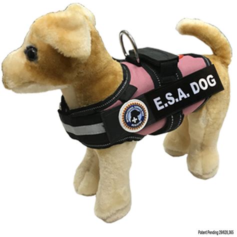 Esa dog. The state of Illinois allows people with emotional support animals to live with their ESA without incurring additional fees. Federal law also views these animals as vital for the well-being of people that suffer from emotional or mental health conditions. Emotional support animals are dogs, cats, and other small domesticated animals that provide their owners … 