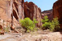 Escalante- Little Death Hollow Loop conditions? - Backcountry Post