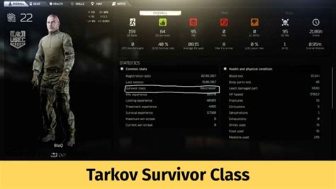 Escape from tarkov survivor class. Things To Know About Escape from tarkov survivor class. 