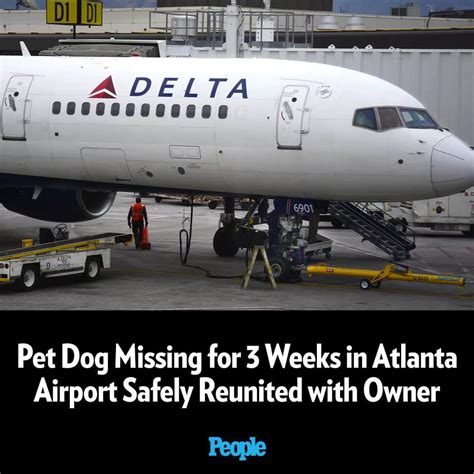 Escaped dog at Atlanta airport found after three weeks