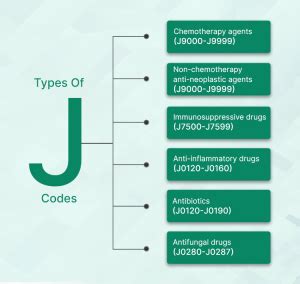 Escritor j code