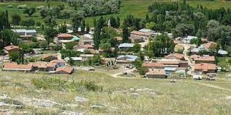 Eselik Halı ve Koltuk Yıkama