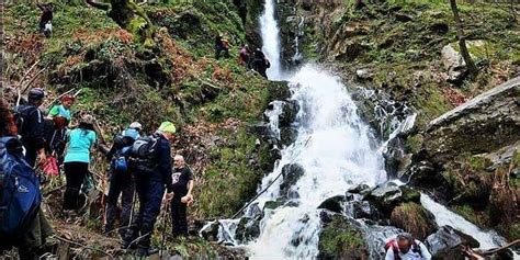 Esencay Halı ve Koltuk Yıkama
