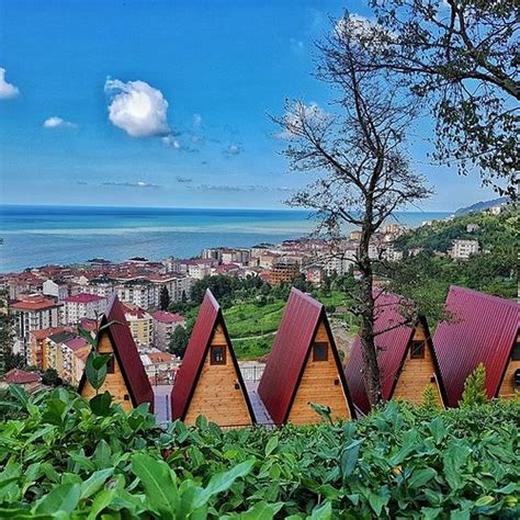 Esendag Halı ve Koltuk Yıkama