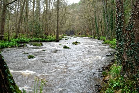 Esk Rivers & Fisheries Trust Rottal Burn - River South Esk