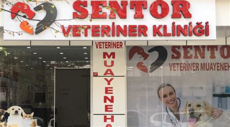 Eskişehir belediye veteriner telefon