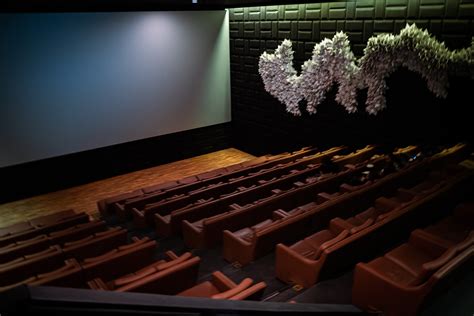 Eskişehir kanatlı sinema seansları