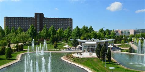 Eskişehir osmangazi üniversitesi tıp fakültesi puan