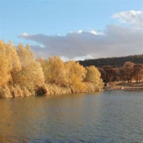 Eskiyurt Halı ve Koltuk Yıkama