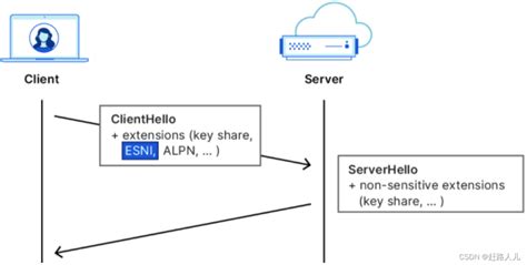 Esni github. 3 with ESNI (ECH), Hiding, and decoy SNI - Websocket Cloak Client Set...
