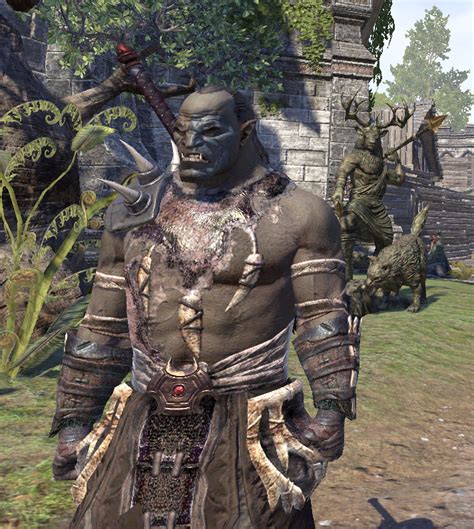 Eso orc names. The Wood Orcs are a faction that appears in The Elder Scrolls Online. The name is used to describe any Orsimer that have settled in the province of Valenwood. At the time of the Planemeld in the Second Era, three Wood Orc tribes were known to exist and thrive—the Barkbites, the Drublog, and the Lhurgash Clans. Wood Orcs have evolved over the Eras, to the point where they have more in common ... 