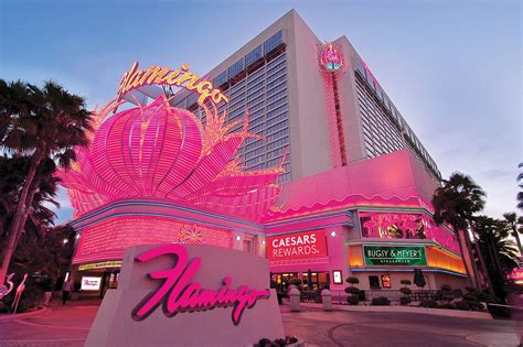 Espectáculos de casino flamingo.