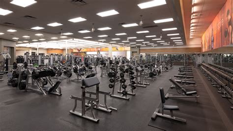  Esporta Fitness is a premium fitness club at an outstanding value. Gym amenities may feature state-of-the-art strength equipment, cardio machines, free weights, a newly developed modern functional training area, and more! … . 
