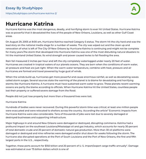 Essay 2: Katrina, Climate Anxiety, and Annihilation