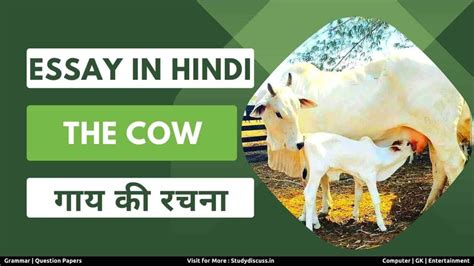 Essay on Cow in Hindi - गाय पर हिंदी में निबंध