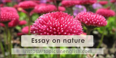 Essay on nature 11 models Topics in English