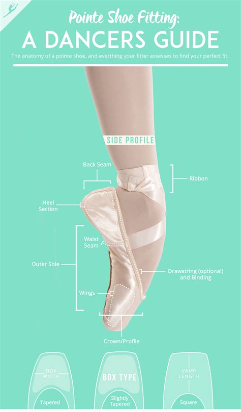 Essential Guide to Choosing the Perfect Ballet Shoes for Beginners