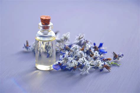 Essential Oil Compound Improves the Wound Healing …