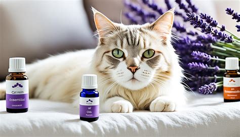 Essential Oils Cats Symptoms Guide