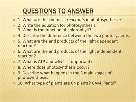 Essential Questions About Photosynthesis
