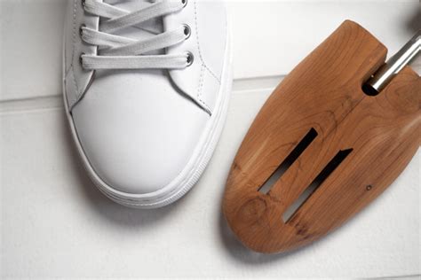 Essential Shoe Trees for Jordans: Preserve Your Legacy