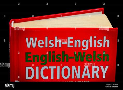 Essential Welsh Dictionary Welsh English English Welsh