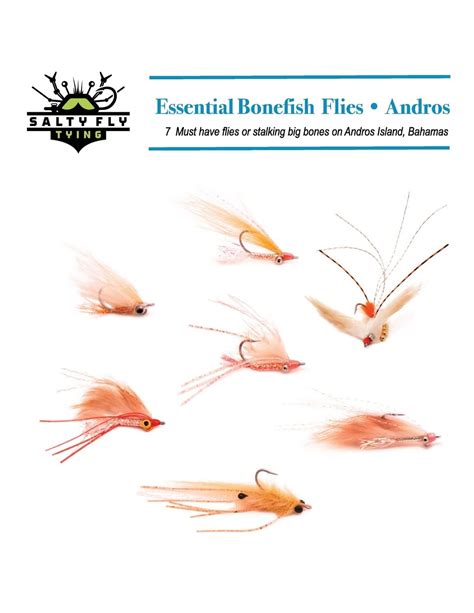 Essential bonefish flies andros a guide to tying the 7 must have flies for andros island bahamas. - Hp 48 g series users guide and quick start guide 2 book set.