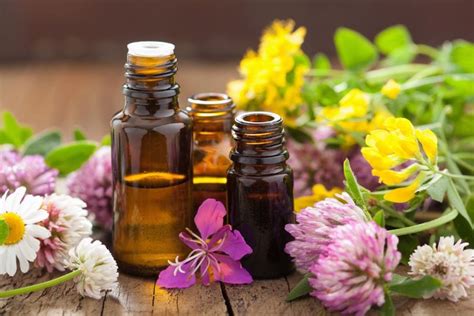 Essential oils, flower waters, and plant extracts: what