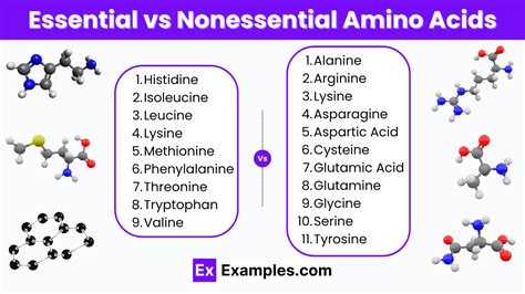 Essential vs Nonessential Amino Acids Differences, Sources