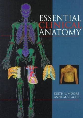 Read Online Essential Clinical Anatomy By Keith L Moore