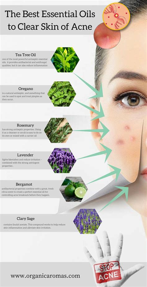 Full Download Essential Oils For Acne Skin Care Hair Care Massage And Perfumes 120 Essential Oil Blends And Recipes For Skin Care Acne Hair Care Dandruff Massage  Essential Oils Beginners Guide 2019 Book 3 By Charles Gruger