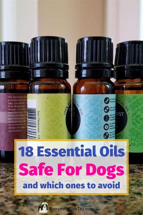 Read Essential Oils For Dogs 100 Easy And Safe Essential Oil Recipes To Solve Your Dogs Health Problems Alternative Animal Medicine Small Mammal Medicine Aromatherapy Holistic Medicine By Julie  Summers