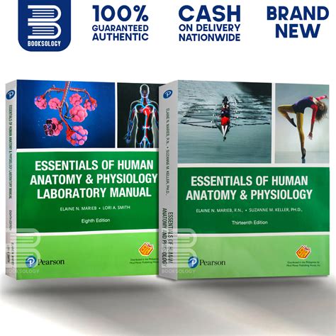 Essentials Of Human Anatomy And Physiology 8th Edition