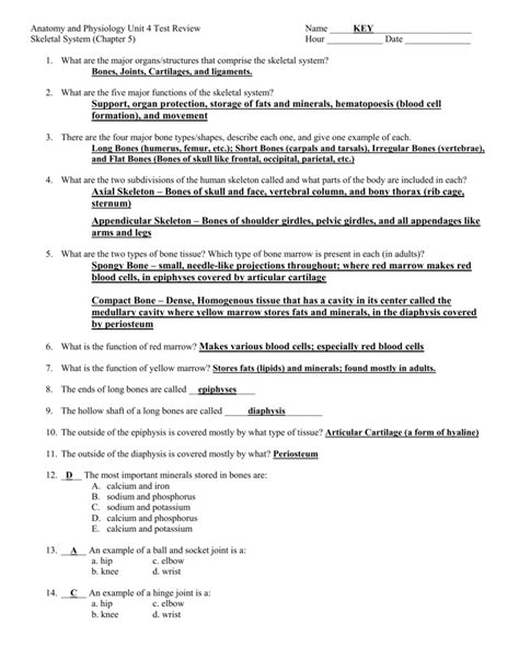 Essentials Of Human Anatomy And Physiology Answer Key