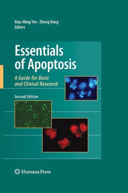 Essentials of apoptosis a guide for basic and clinical research. - Arctic cat trv 650 h1 shop manual.