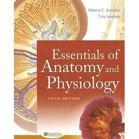 Download Essentials Of Anatomy And Physiology By Valerie C Scanlon
