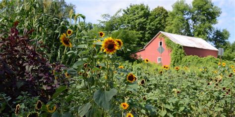 Essex County Farmland Protection and Food System Plan 2024