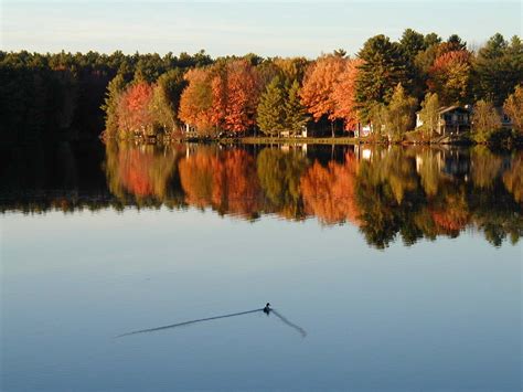 Estes lake sanford maine. Things To Know About Estes lake sanford maine. 
